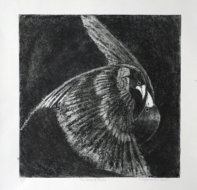 The-Dance-of-Foules.-Drypoint-etching
